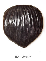 Big Black Pod, 20&rdquo;x20&rdquo;x7&rdquo;